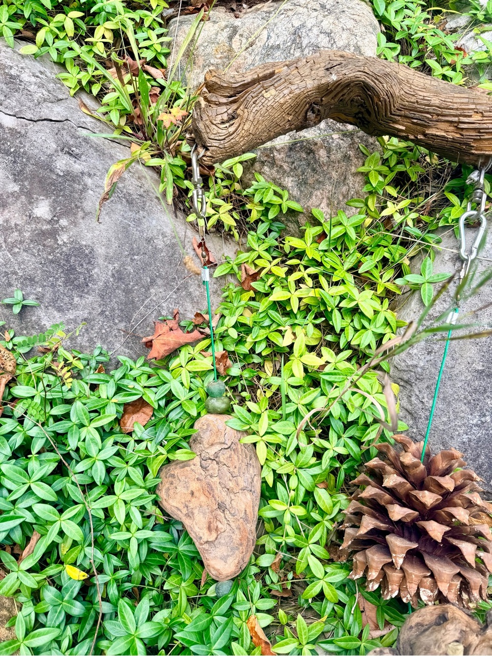 🌲NATURE INSPIRED DECOR - Picture 7 of 13